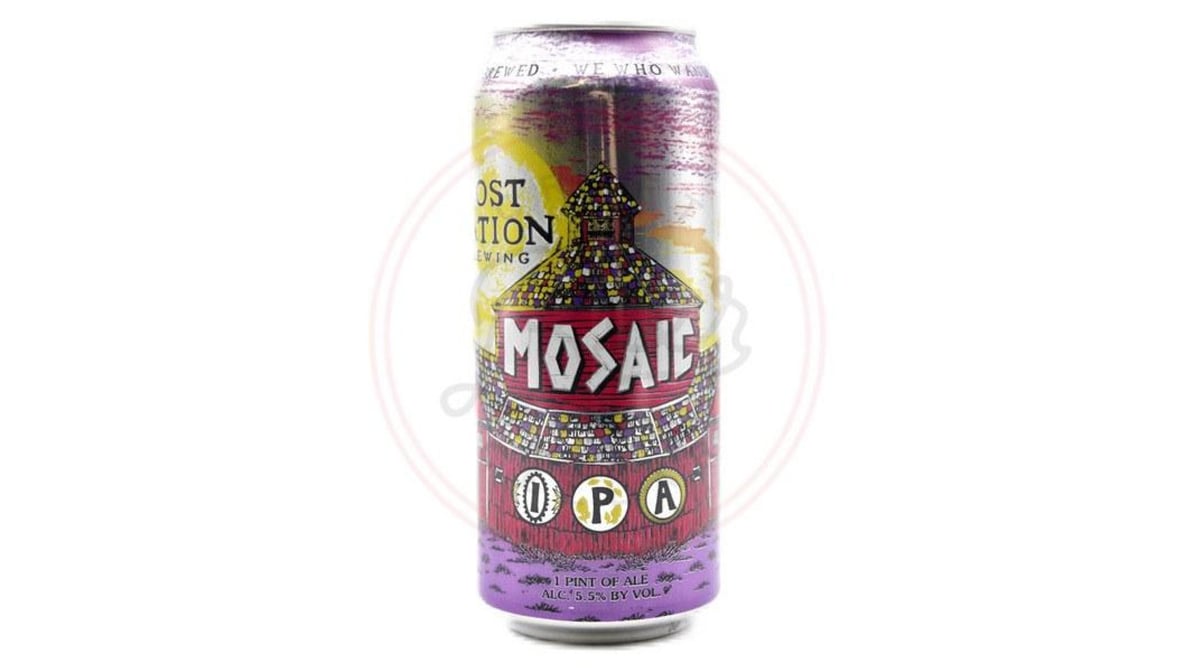 Lost Nation Brewing IPA Can (16 oz)