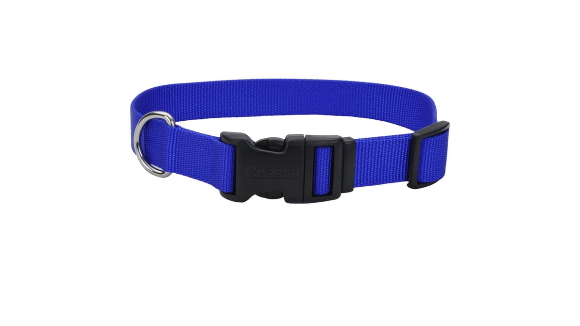Coastal 3/4" x 14" - 20" Blue Adjustable Dog Collar with Plastic Buckle