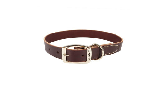 Circle T 0.38" x 12" Latigo Leather Town Dog Collar