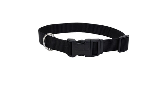 Coastal Pet 3/4" x 8"-12" Black Adjustable Dog Collar with Plastic Buckle