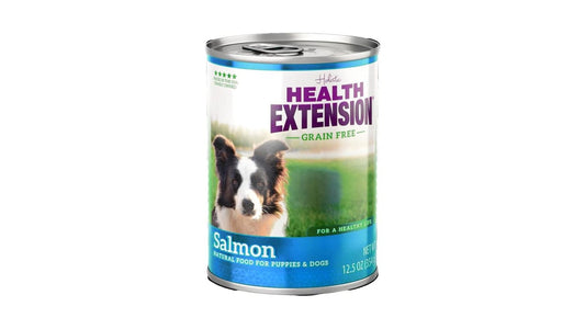 Health Extension Grain-Free Dog Food Salmon Entree (12.8 oz)