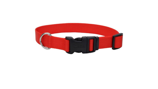 Coastal 5/8" x 10" - 14" Red Adjustable Dog Collar with Plastic Buckle