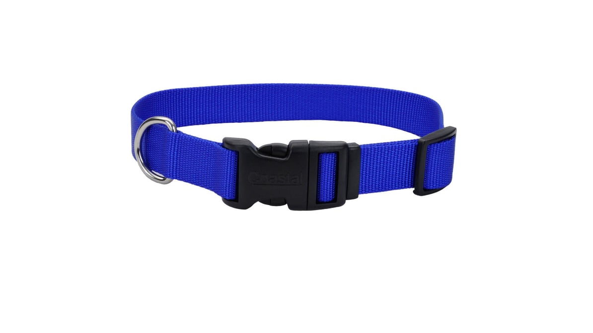 Coastal 1" x 18" - 26" Blue Adjustable Dog Collar with Plastic Buckle
